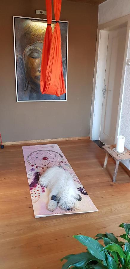 Willa Kleines Haeuschen Im Gruenen Monheim  Zewnętrze zdjęcie